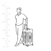Essential Trunk Plus Large Suitcase