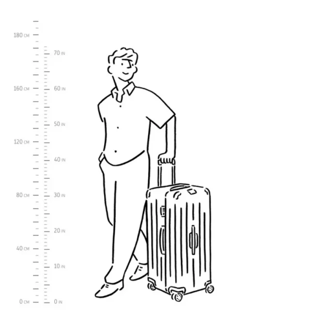 Essential Trunk Plus Large Suitcase