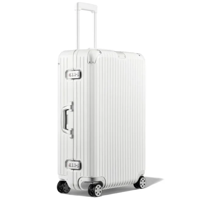 Hybrid Large Check-In L Suitcase