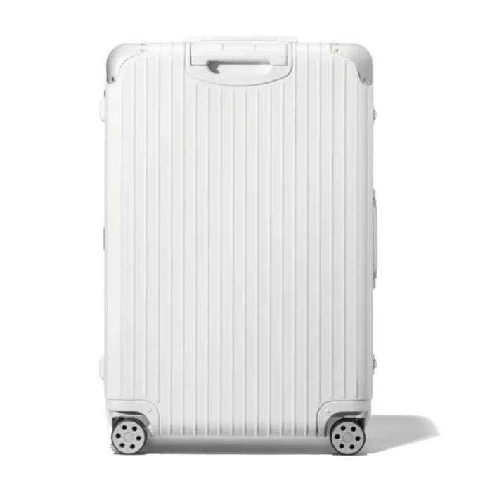 Hybrid Large Check-In L Suitcase